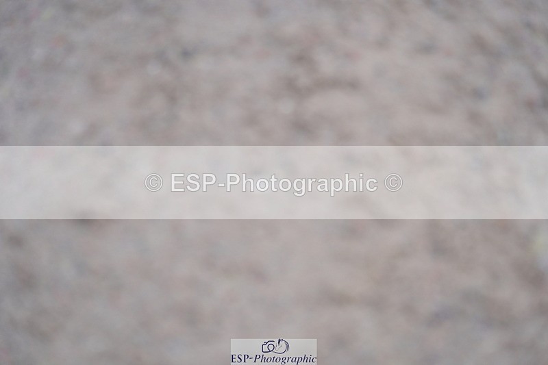 231017A-142114-07349 - Cls 29 Snr Foxhunter