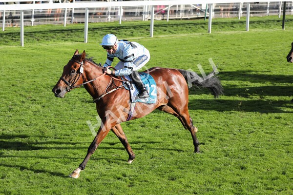 yr08102022r5-36 - Race 5 3.50pm The Coral Committed To Safer Gambling EBFStallions.com Maiden Stakes