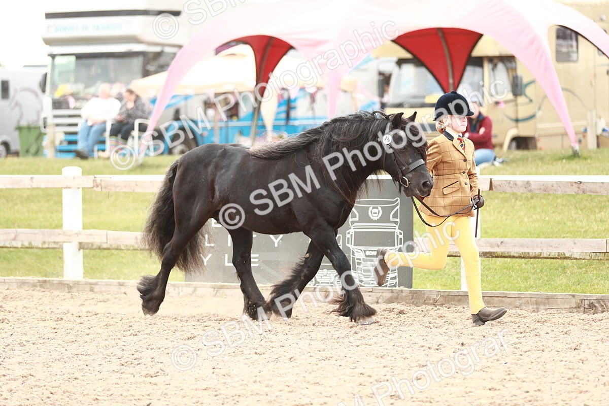 SBM_12464 - Class 207 IH M&M