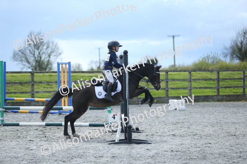 20260412-1811 - Show Jumping