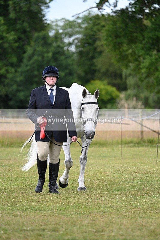 WJ7_7281 - Champs