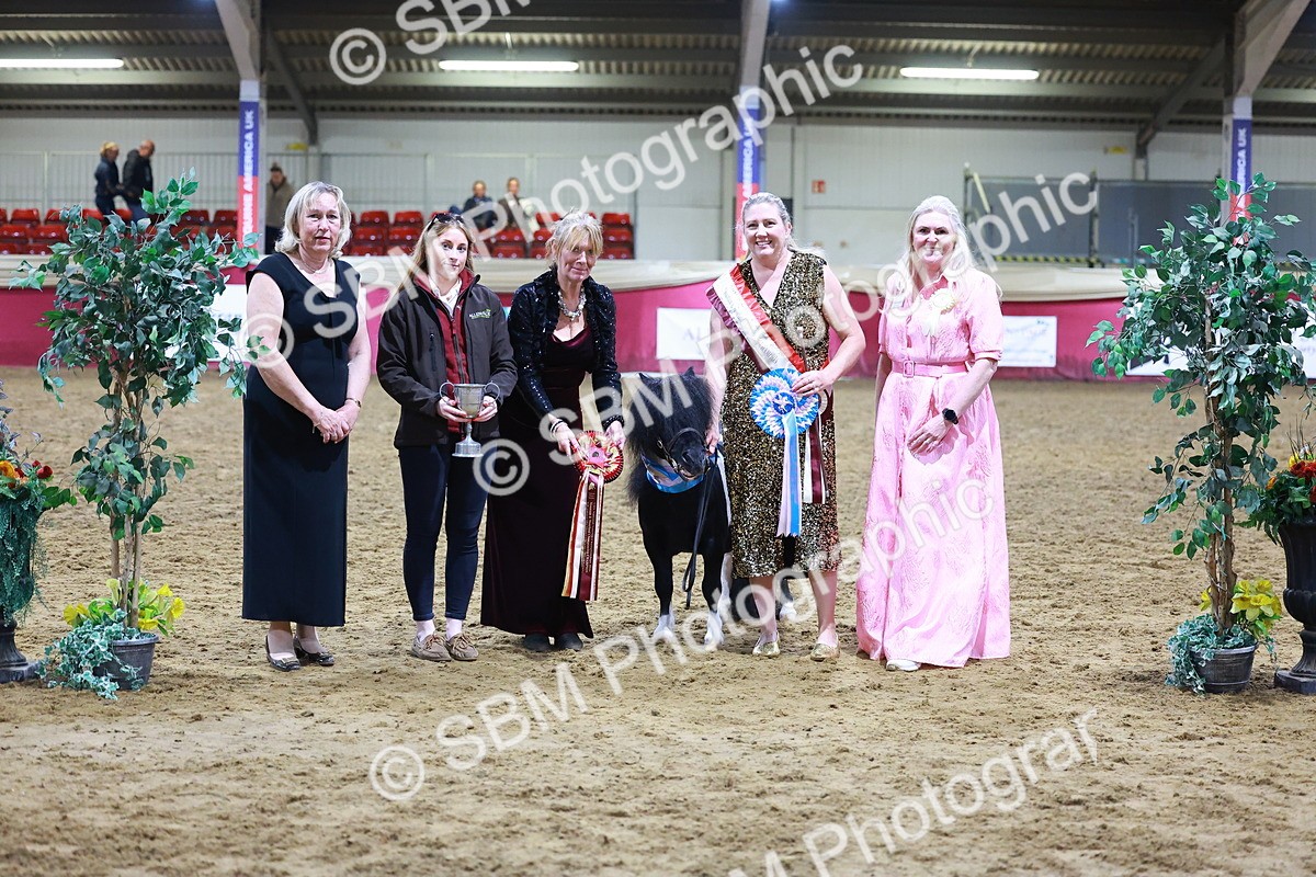 SBM_15312 - Class P - M&M Champ
