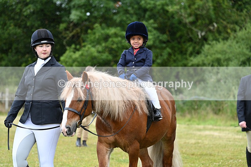WJ7_4774 - Class 1 Lead Rein Pony