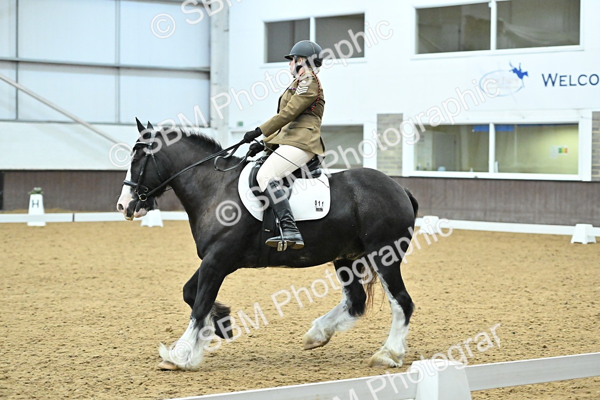SBM_007460 - Class 81 - Novice 3