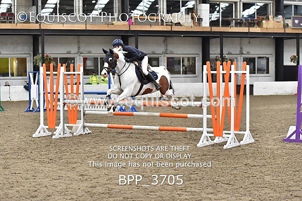 BPP_3705 - FRI CLASS 21 BR NOVICE/90CM