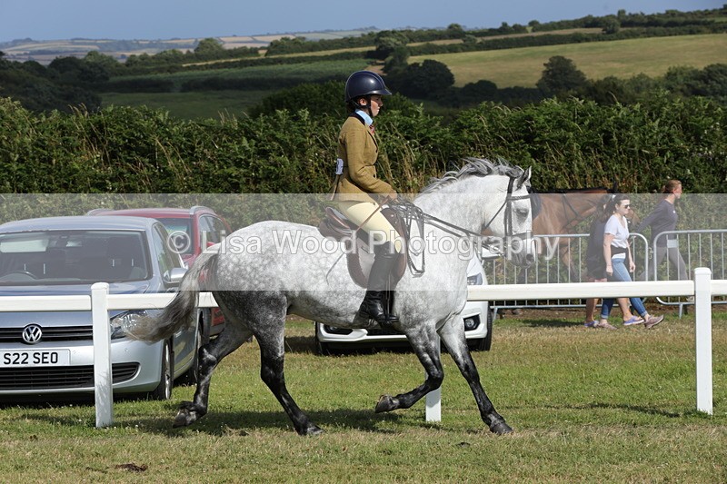 1X9A5841 - Class 41:. NPS New Forest & Connemara