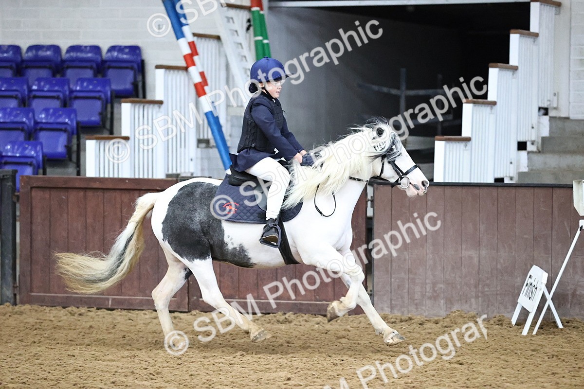 SBM_000200 - Class 2 - The Rug Lady 40cm Area 12 Championship Qualifier