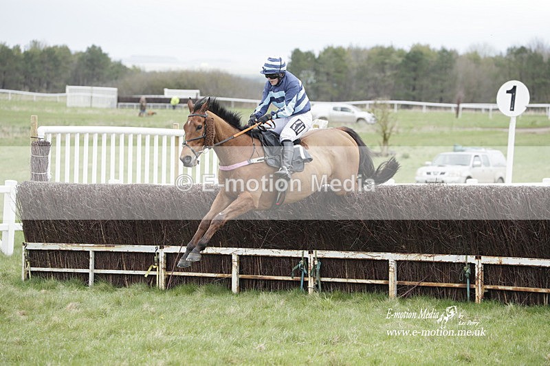 PtP 260323 0514 - New Forest Hounds Point-to-Point Larkhill 26/03/23