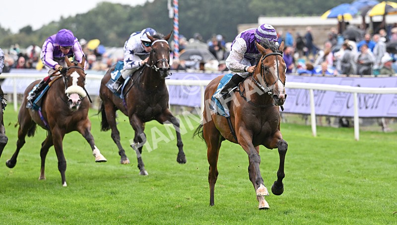 200826-161 Mia Fantasia - Race 6 16.45pm Mews Hotel Ossett EBF Stallions Nursery Handicap