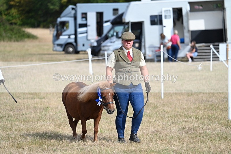 WJ7_8010 - In-hand Championship