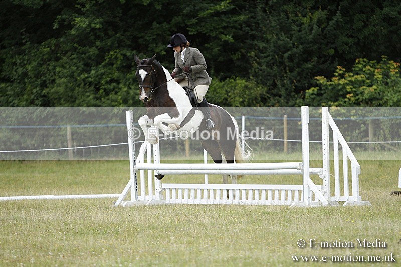 BVR160717-123 - Ring 3 BVRC Show 16/07/17