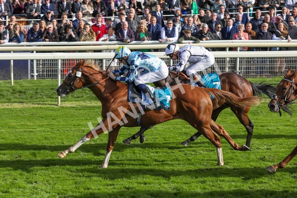 141023-Race 2-Whiskey Pete-0361 - Race 2 1.50pm Play Coral 'Racing-Super-Series' For Free Nursery Handicap