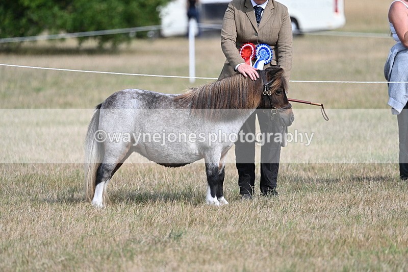 WJ7_8191 - In-hand Championship
