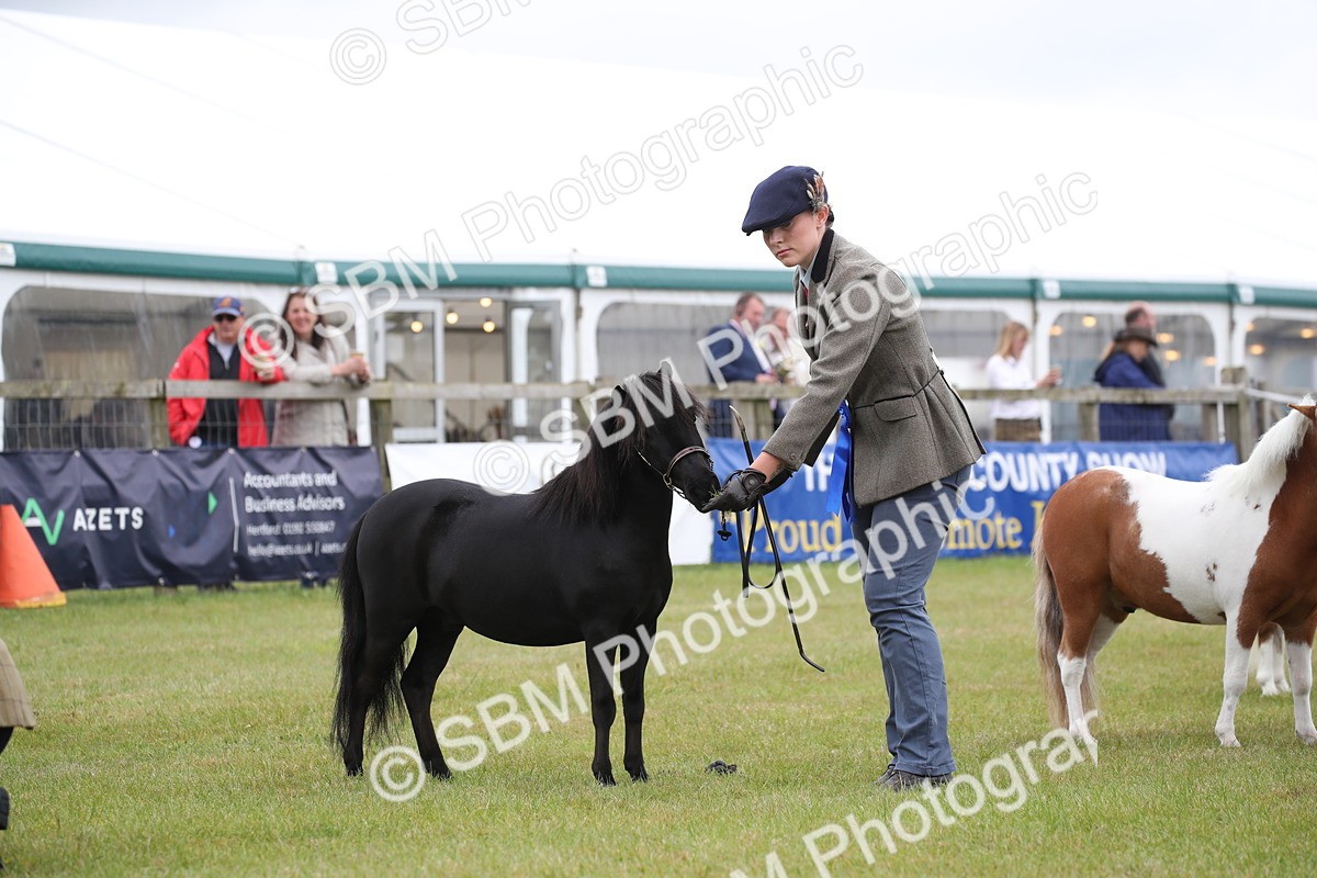 SBM_03548 - Class 23-25 - British Miniature Horse of the Year