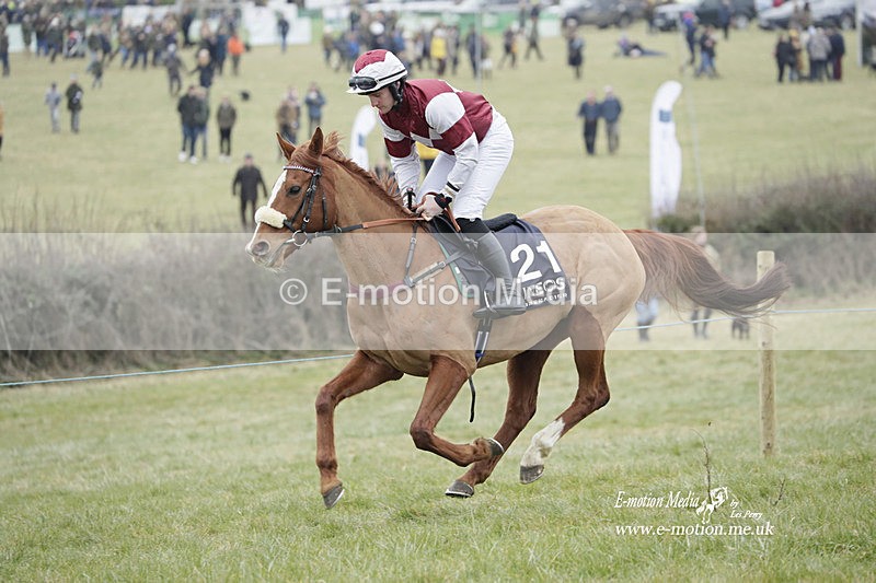PtP 040323 443 - Duke of Beauforts Hunt Point-to-Point Didmarton 04/03/23