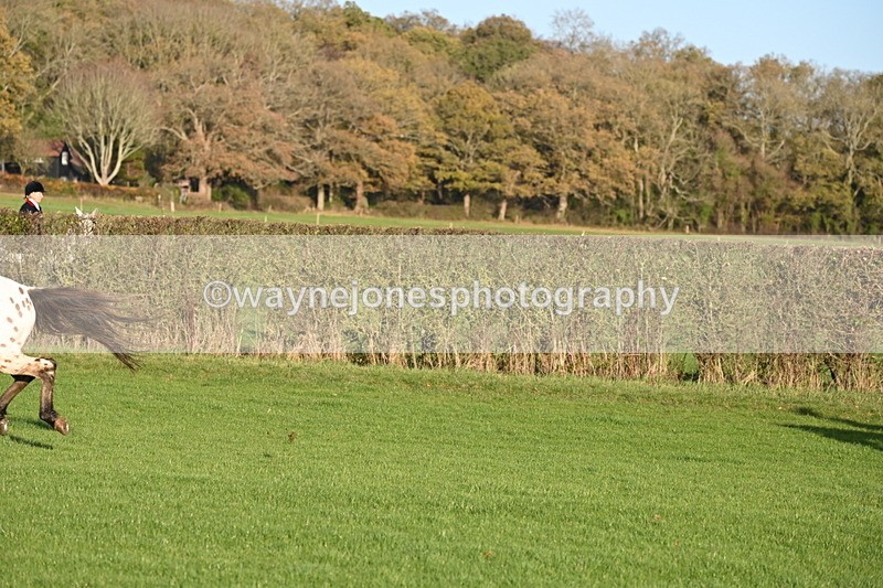 WJ6_3236 - Camera A