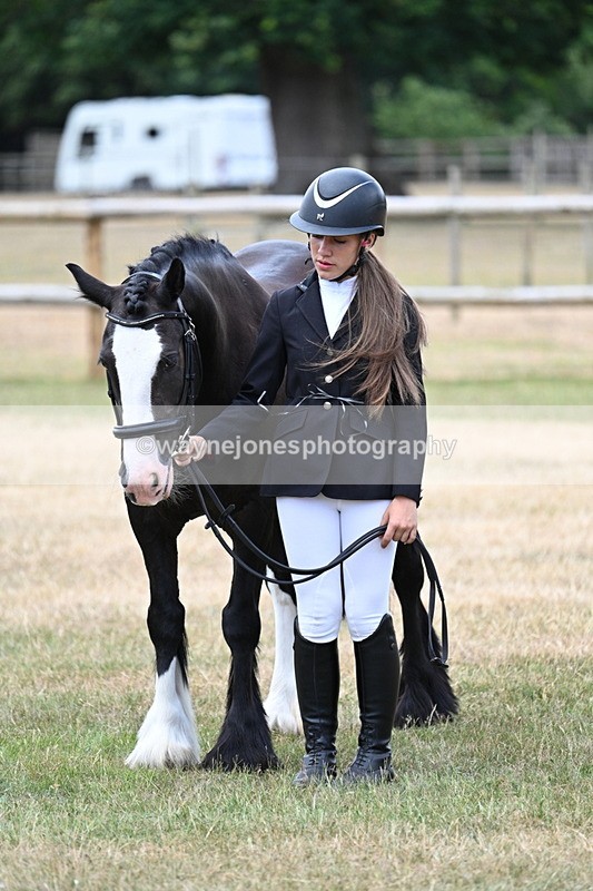 WJ7_1505 - Class 4 Prettiest Mare up to 14.2hh in hand