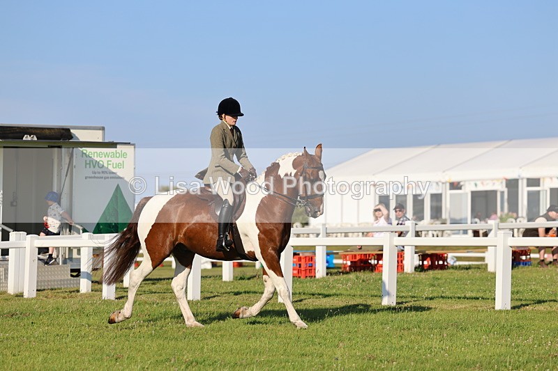 IMG_1192 - Class 27: Ridden Plaited Coloured Horse