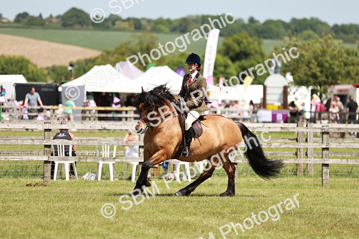 SBM_07107 - Class 26-30 - Mountain and Moorland Ridden
