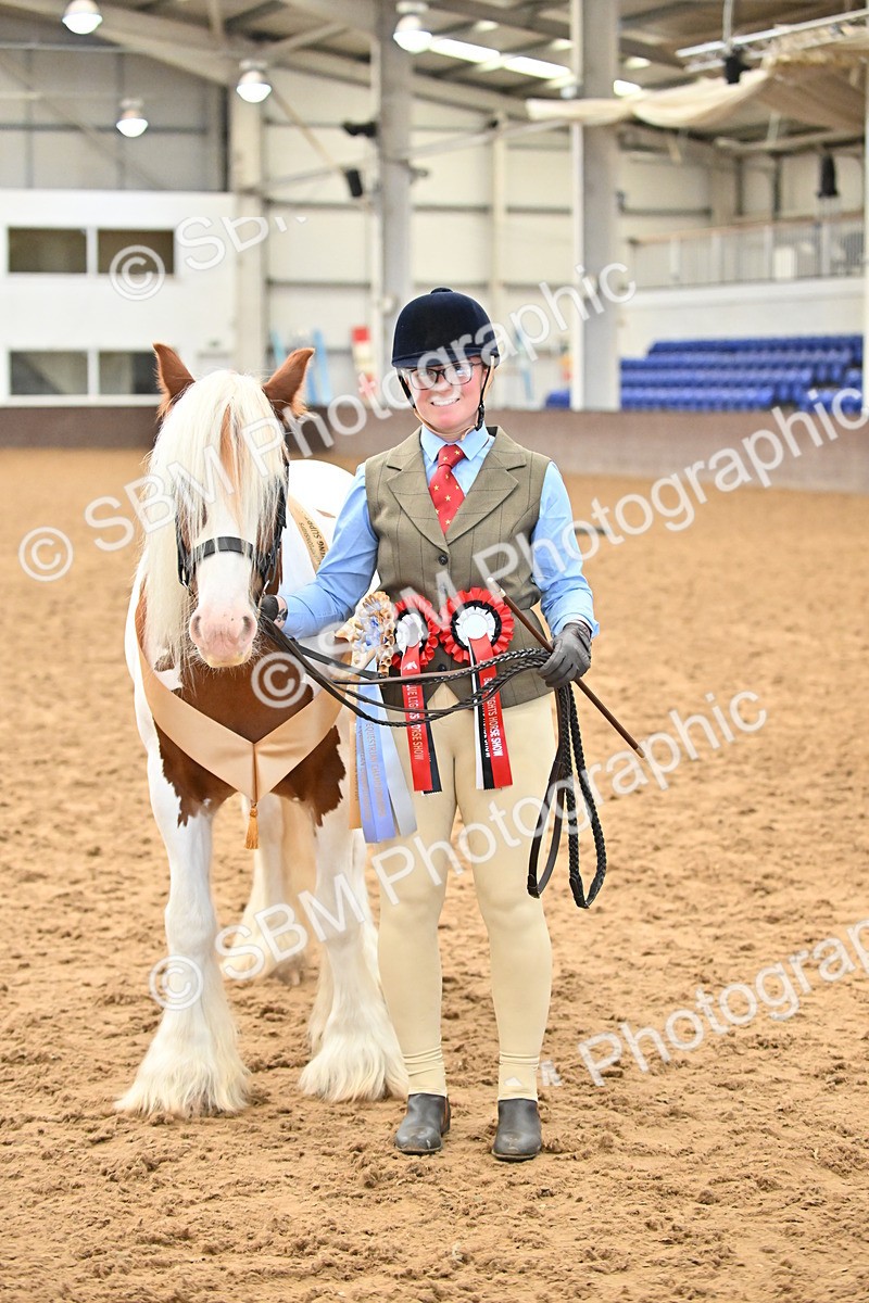 SBM_000802 - Class 16 - In Hand Showing Supreme Championships