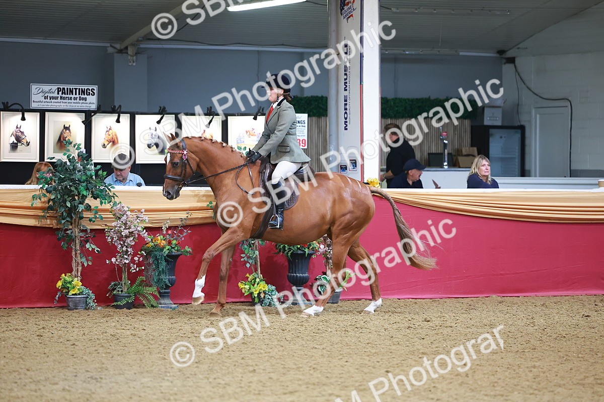 SBM_09743 - Class 102 - HOYS Veteran Qualifier - Ridden Veteran