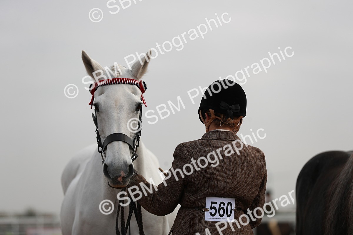 SBM_09523 - Class 201 Best Turned Out IH