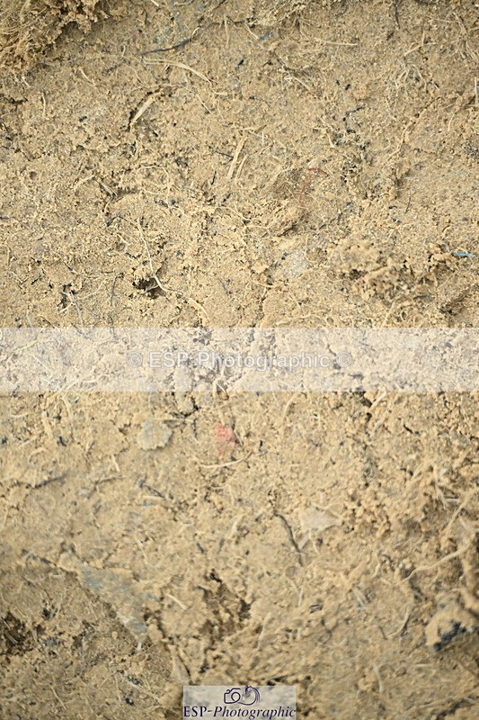 240822X-143822-10475 - 50cm R1 14.00 to 15.00