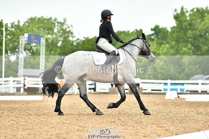 230708A-105846-02460 - Prelim 13