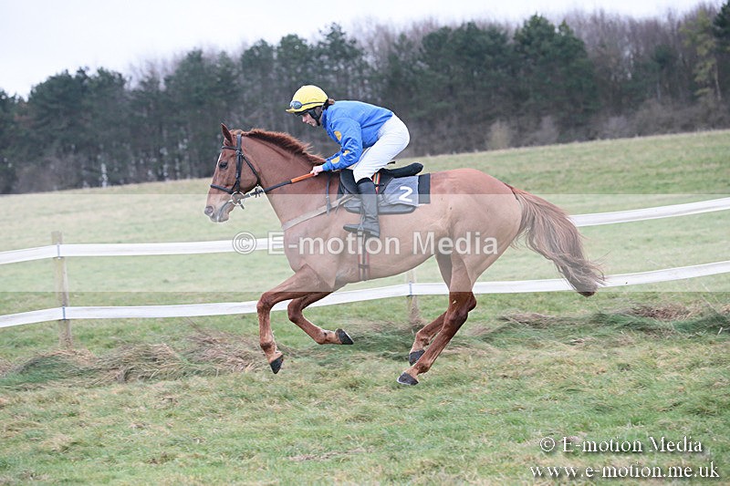 PtP 230119 291 - Royal Artillery Point-to-Point  - Larkhill  - 26/01/19