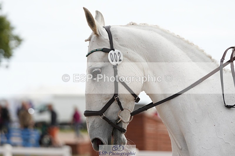 250906-101210-01449 - 002-Claire.JonesOwl.House.Rebel