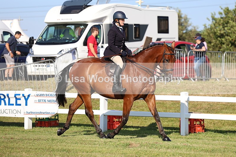 3E7A5273 - Class 2: Rising Star Large Hack/Riding Horse