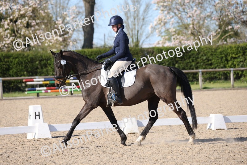 20250405-1215 - Class 17 - Novice 3