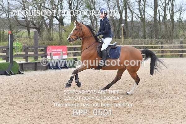 BPP_0501 - CLASS 3  Club/ Unaffiliated 90cms Open