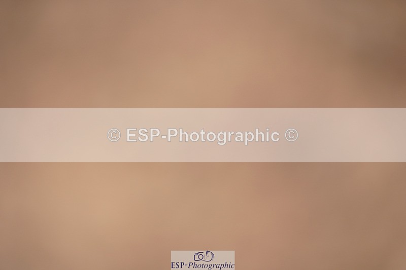 240418A-131723-03062 - Cls 37, Amateur 1.05m