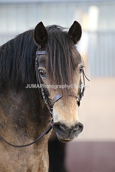 SIAL1136 - Indoor Classes