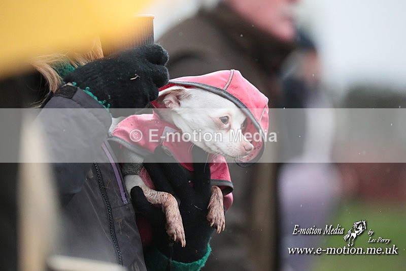 PtP 031223 291 - Wheatland Hunt PtP Chaddesley Races 03/12/23