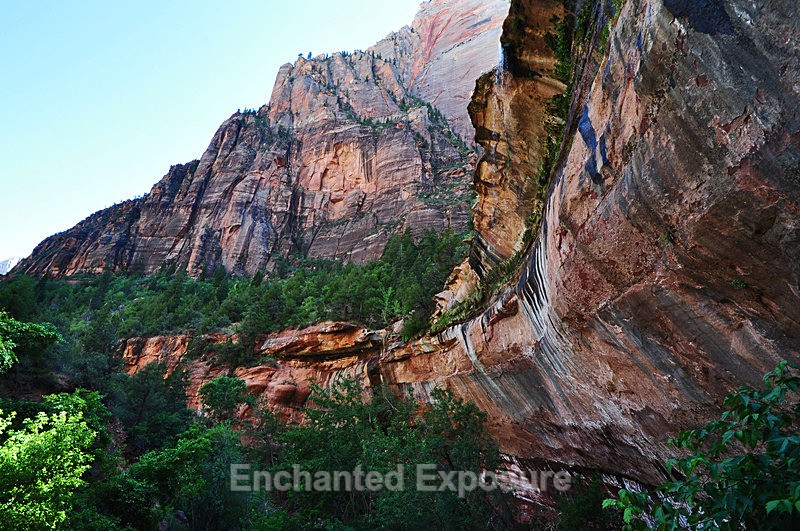 Weeping Rock - Landscapes
