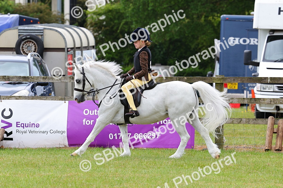 SBM_08661 - Class 42-43 - LIHS BSPS Heritage Working Sports Pony