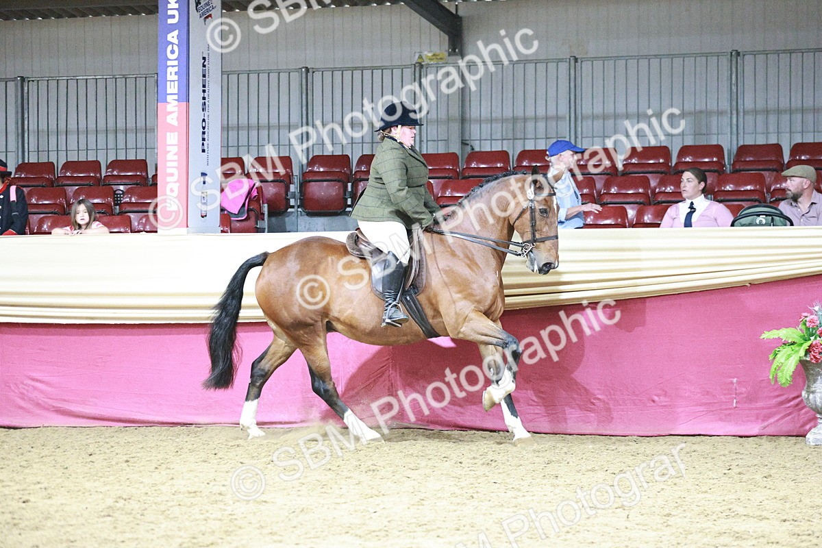 SBM_08033 - Class 11R - Regional Ridden Veteran