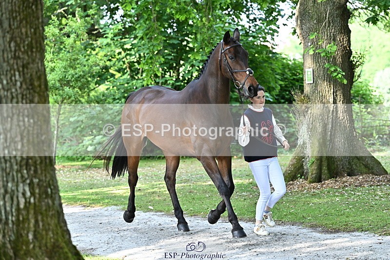 250521A-165036-01368 - C-266-Izzi.Best-BROCKAGH.DOR