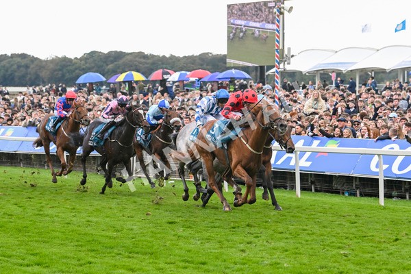 121024-Race 4-Fearless Freddy-3149 - Race 4 3.15pm Play Coral Racing-Super-Series For Free Nursery Handicap