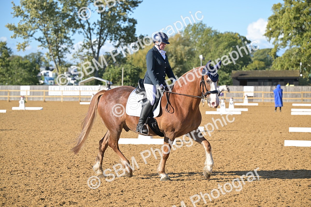 SBM_12990 - D3 - Small Tour Championship Intro 3