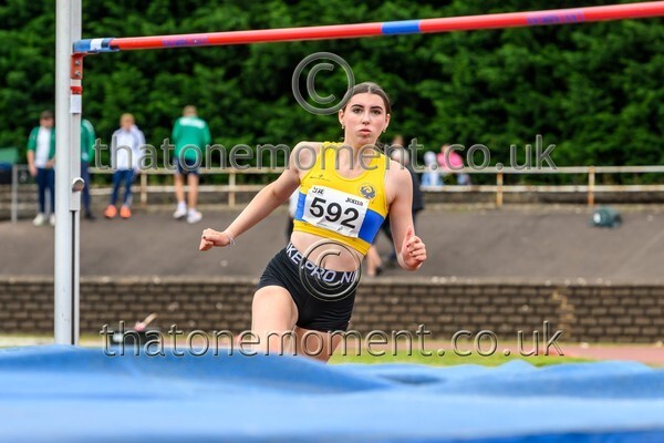 Sen25SAT-913433 - Field Female Set Two