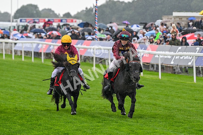 060926-Shetland Pony Race-Claredale Edward-6055 - Shetland Pony Racing 12.30pm
