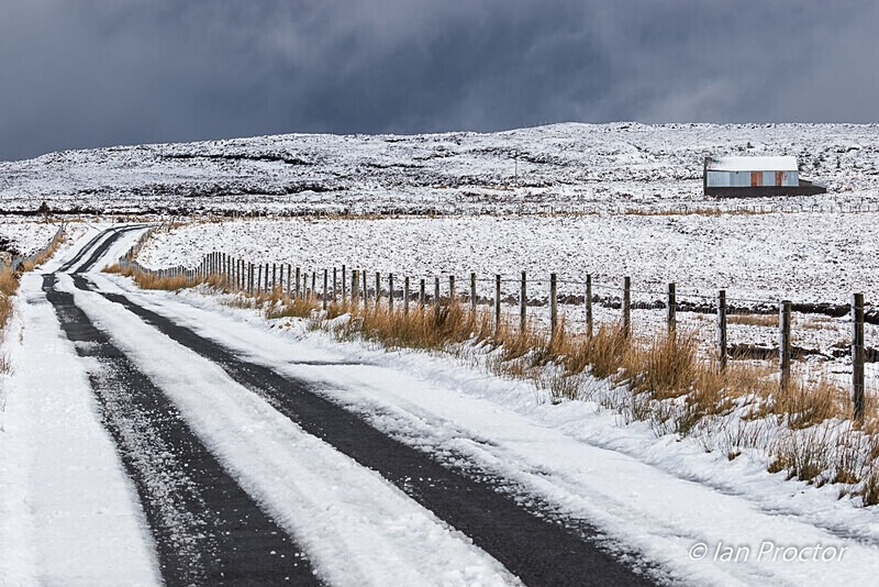 Tracks in the Snow - Antrim Hills - County Antrim