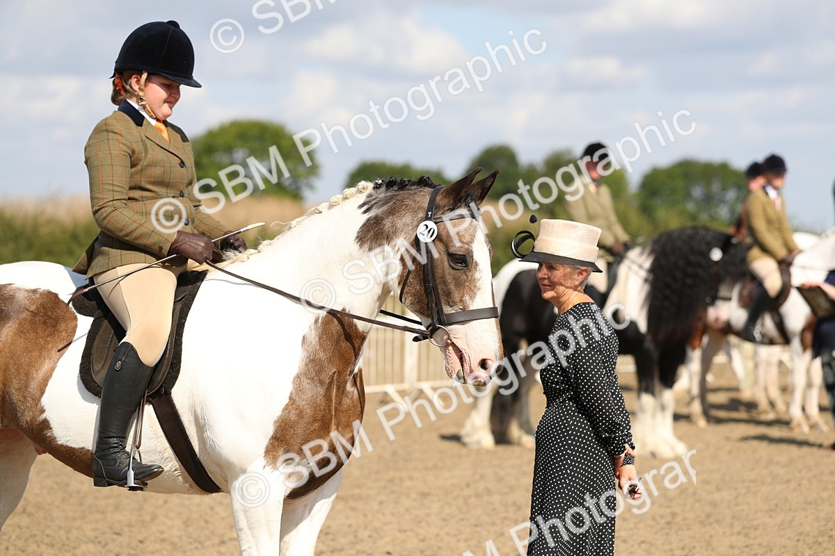 SBM_03212 - Class 44 Riding Club Horse/ Pony