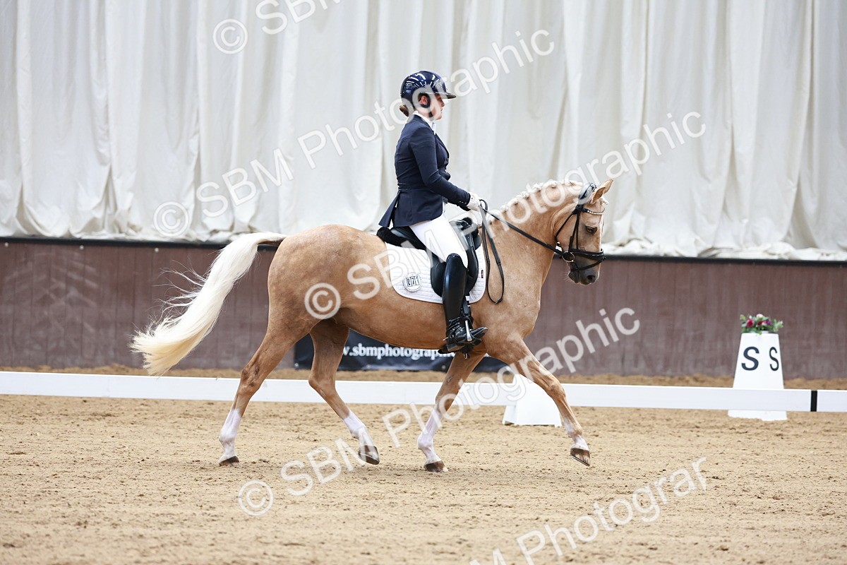 SBM_017304 - Class15 - FEI Pony