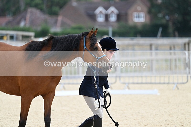 WJ7_1828 - In Hand