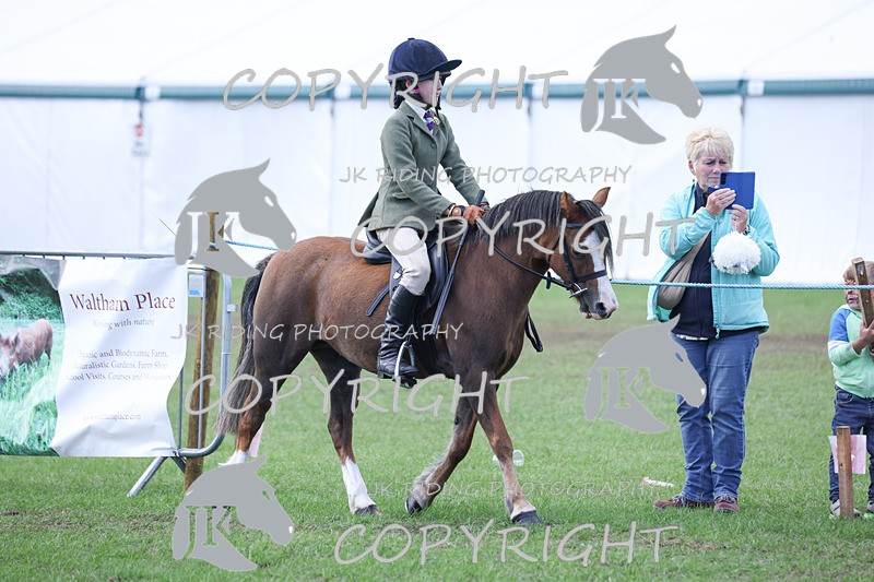 APP_4137 - Class 15a/b Pony club pony/Riding club horse