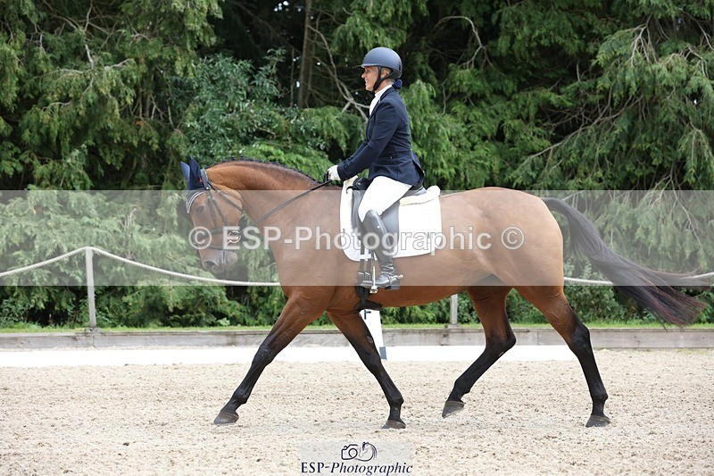 230812-150148-05025 - Cls 5 Novice Bronze 15.00 to End